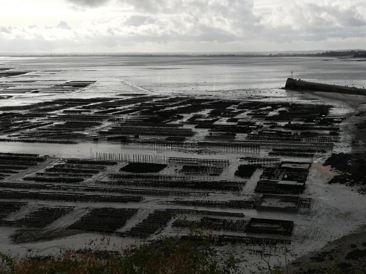 Chambres D'Hotes Les Fleurettes En Baie Du Mont Saint Michel Ngoại thất bức ảnh